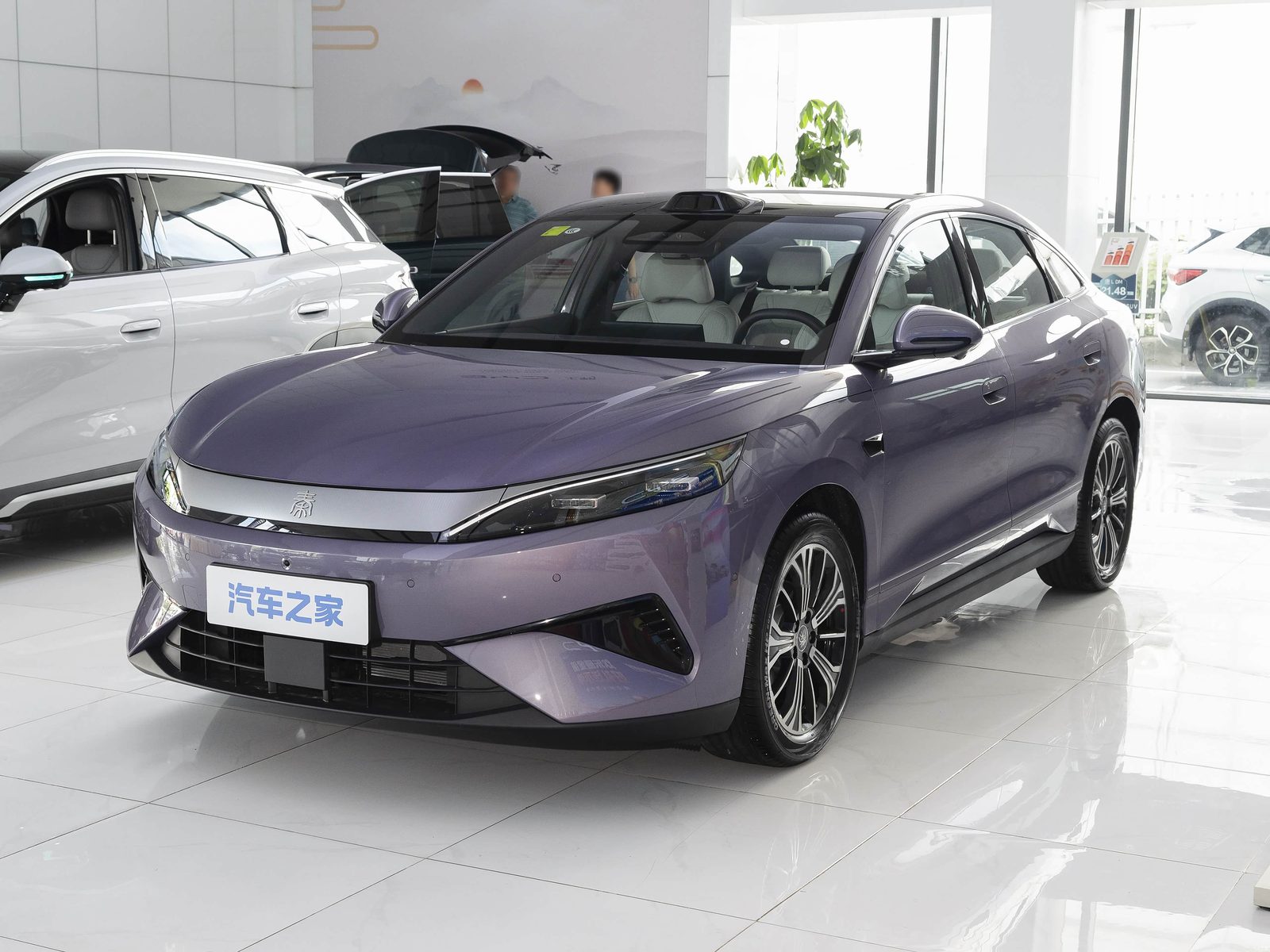 BYD Qin Max EV / DM-i 2026 — экстерьер, front 3q purple retail, рынок china