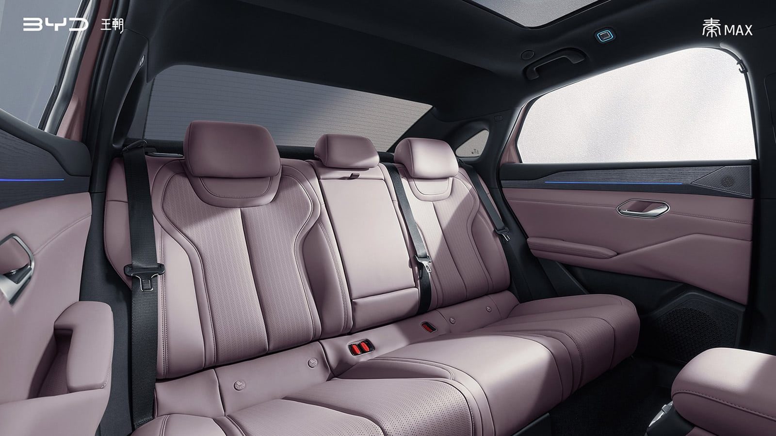 BYD Qin Max EV / DM-i 2026 — интерьер, задний ряд сидений, рынок China pre-launch/reference