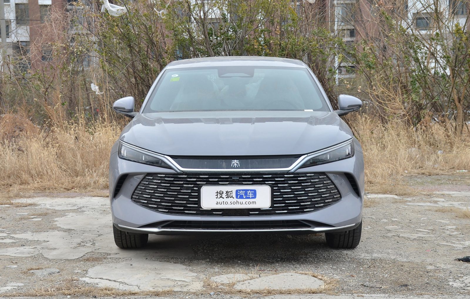 BYD Qin L DM-i 2026 — экстерьер, вид спереди, рынок China / import visual reference