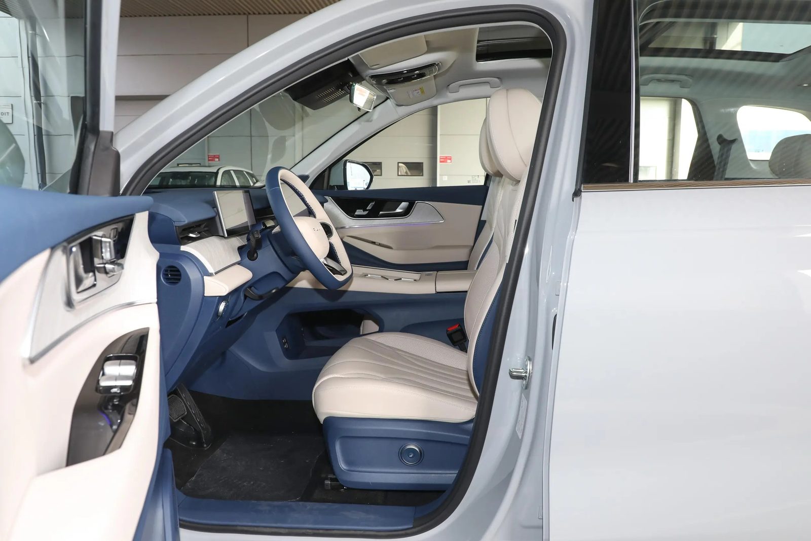 Chery Group Fulwin T9 C-DM 2025 — интерьер, второй ряд сидений, рынок internal_mvp