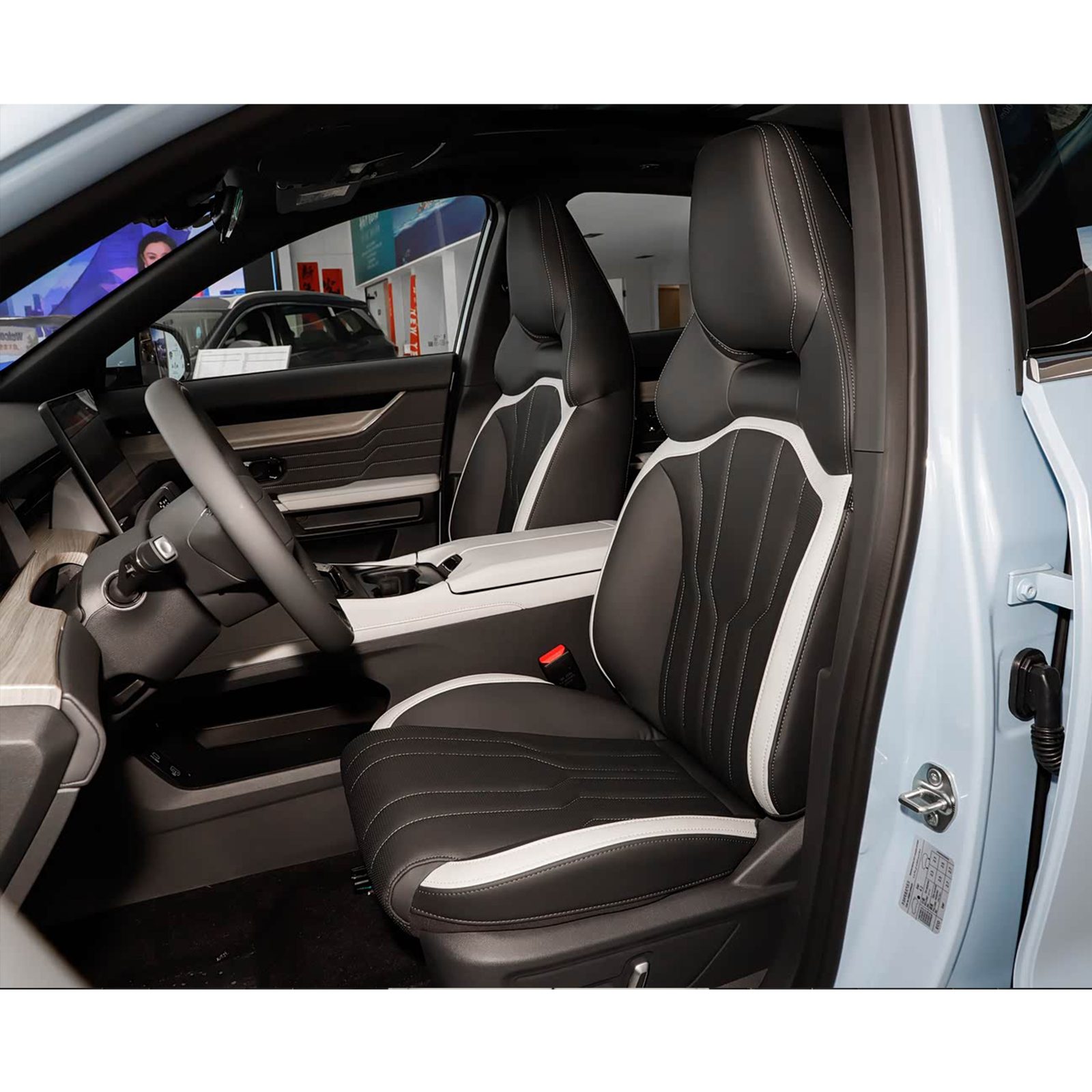 Chery Group Jetour Shanhai L6 2024 — интерьер, второй ряд сидений, рынок internal_mvp
