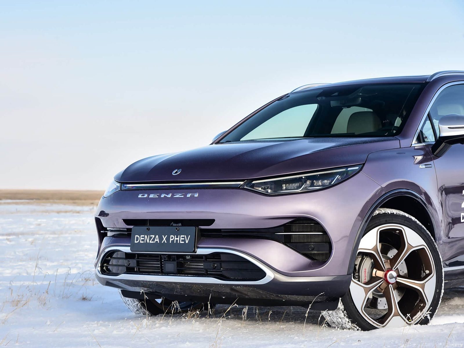 Denza X 2020 — экстерьер, front detail, рынок china
