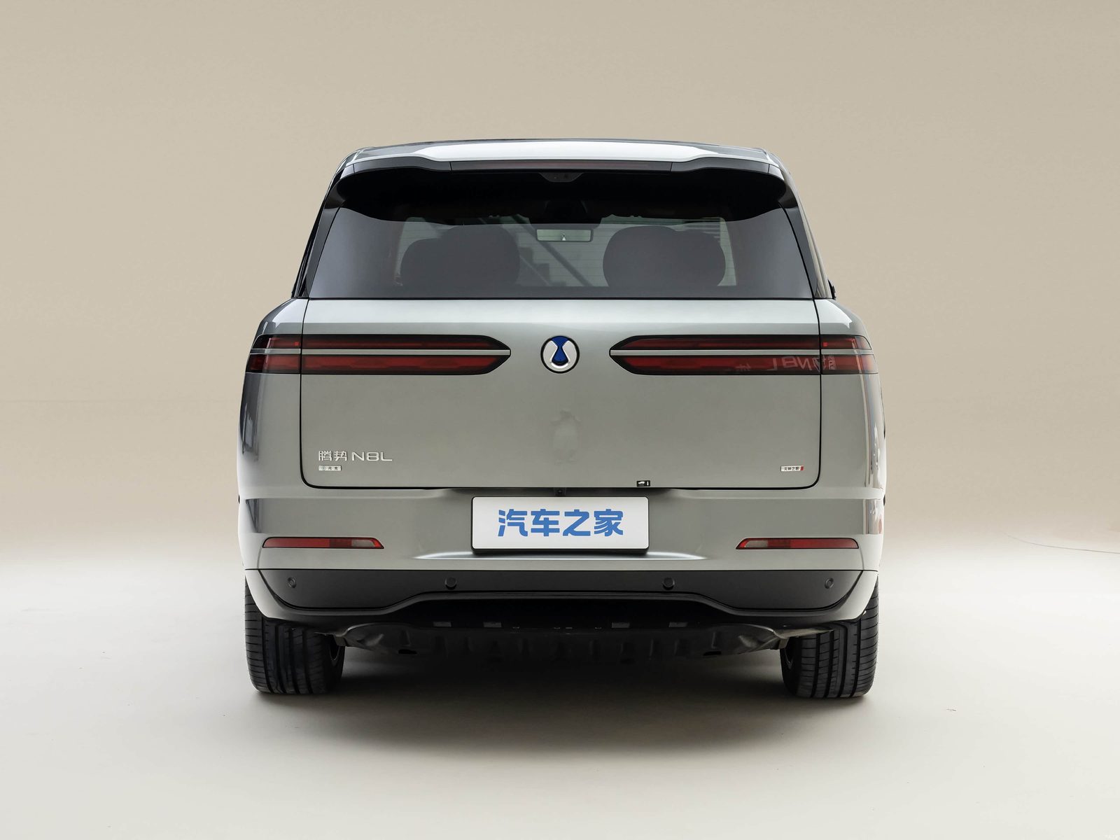 Denza N8L EV — экстерьер, вид сзади, рынок China