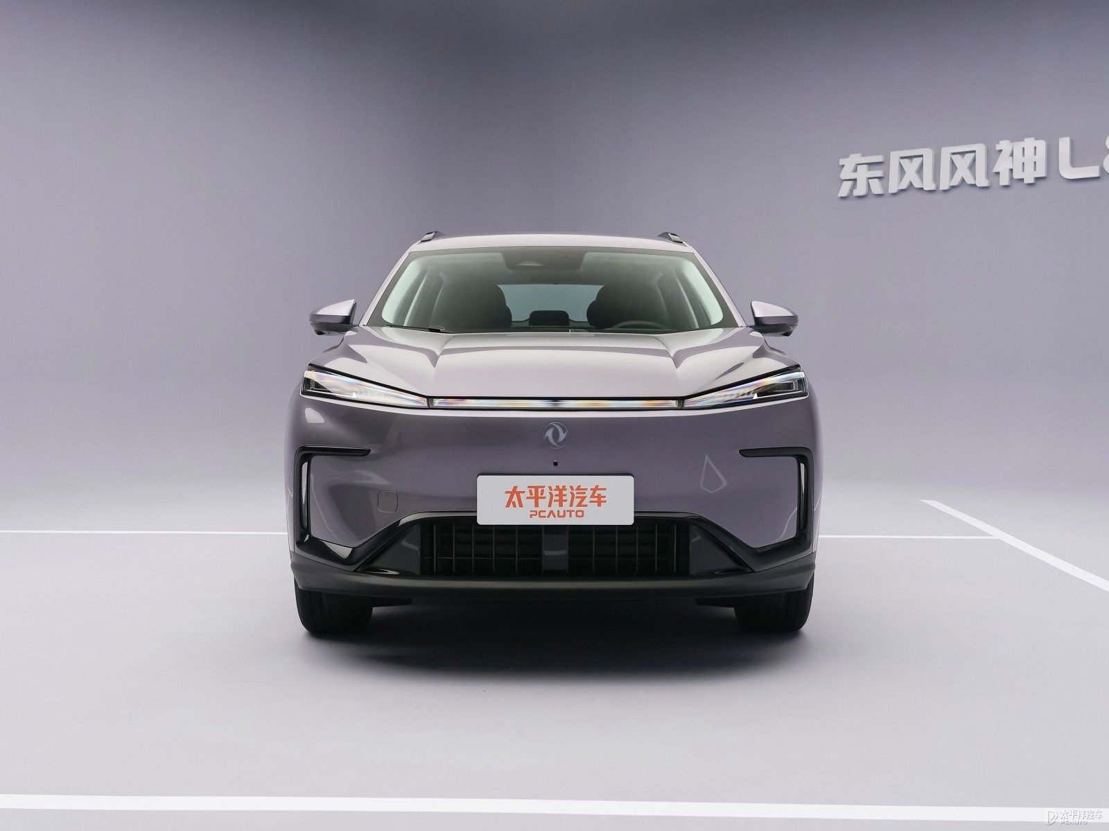 Dongfeng Fengshen L8Y EV — фото модели