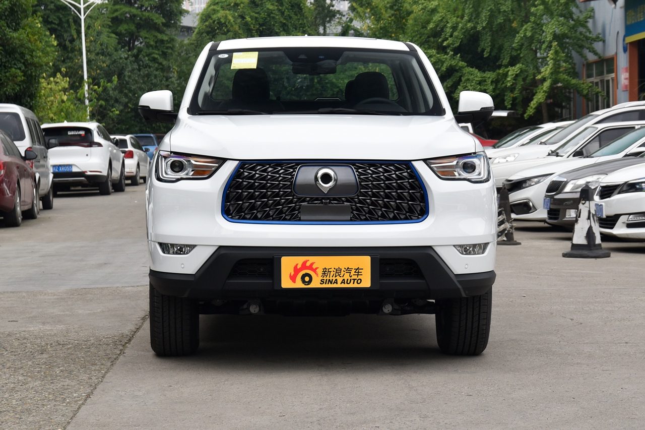 GWM Pickup Legacy EV Poer EV / Pao EV 2021 — экстерьер, вид спереди, рынок China