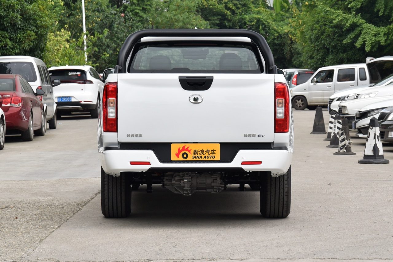 GWM Pickup Legacy EV Poer EV / Pao EV 2021 — экстерьер, вид сзади, рынок China