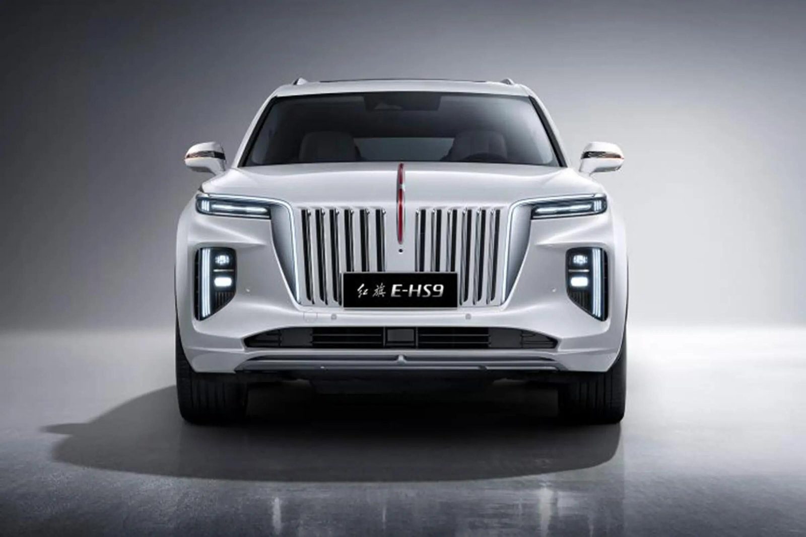 Hongqi E-HS9 2020 — экстерьер, вид сбоку, рынок internal_mvp