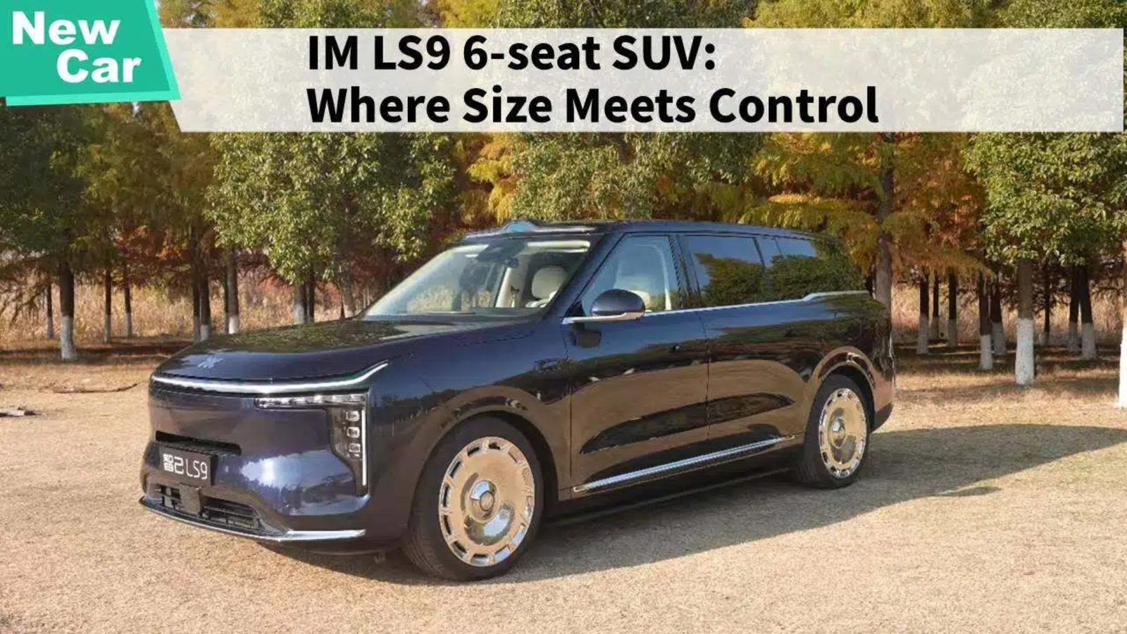 IM Motors LS9 2025 — экстерьер, вид сбоку, рынок internal_mvp