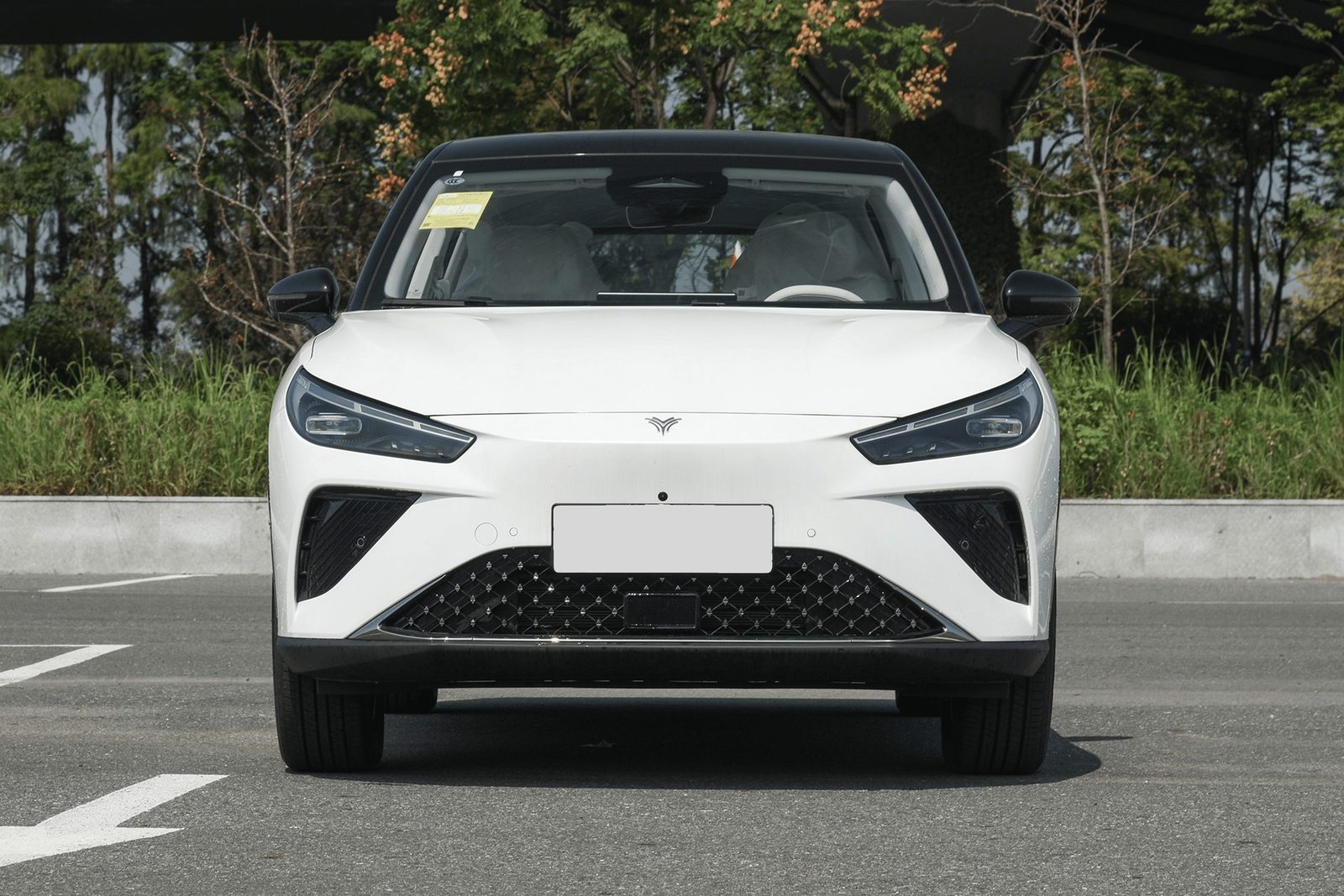 Neta L EREV 2024 — экстерьер, front view live white, рынок China Neta L EREV reference