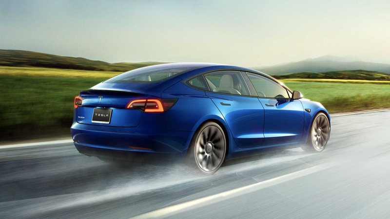 Tesla's FSD Lite Seems To Have A Hard Time Seeing Trees And Logs