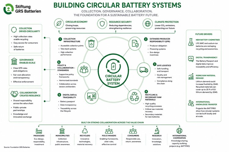 Future Challenges in the Battery Market: Building Circular Battery Systems Beyond Recycling